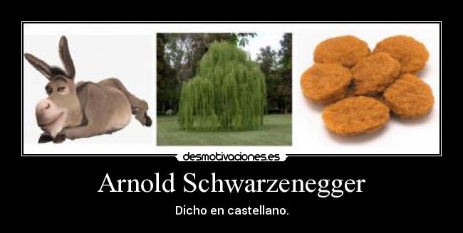 Arnold Schwarzenegger - Dicho en castellano.