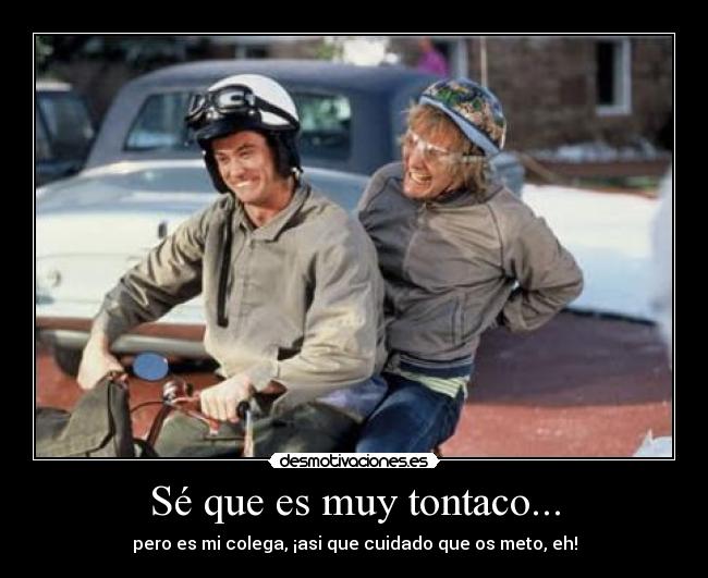 carteles amigos colegas tonterias las justas dos tontos muy tontos desmotivaciones