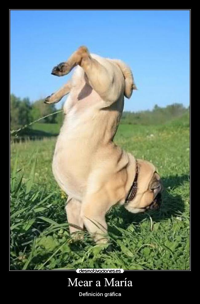 Mear a María - 