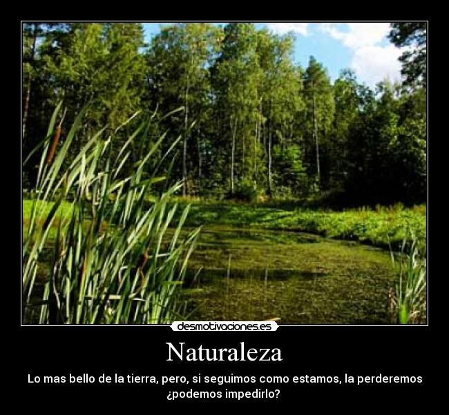 Naturaleza - 