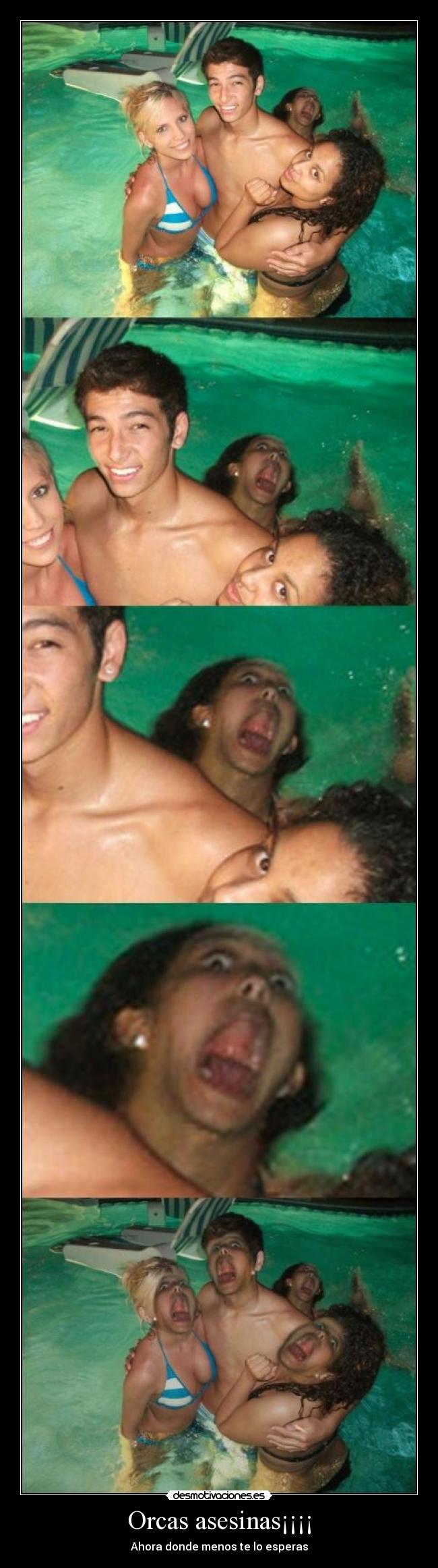 Orcas asesinas¡¡¡¡ - 