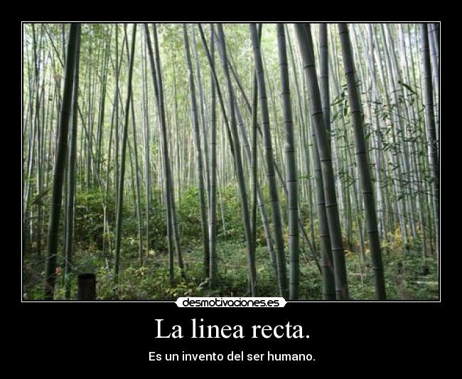 La linea recta. -
