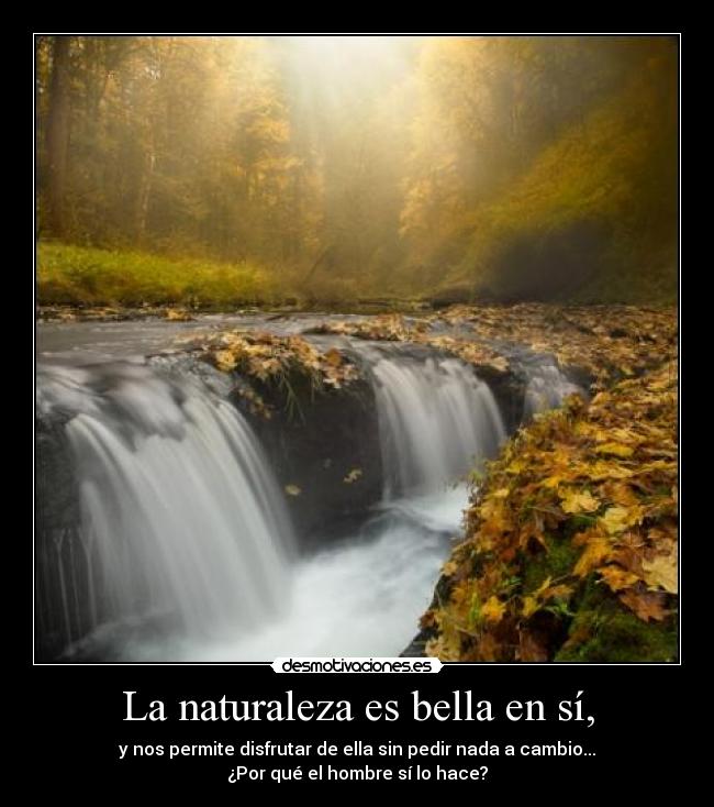 La naturaleza es bella en sí, -
