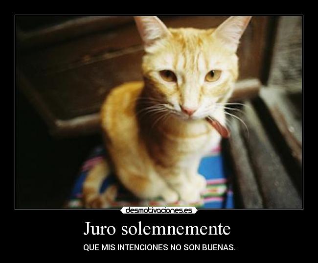 Juro solemnemente - QUE MIS INTENCIONES NO SON BUENAS.