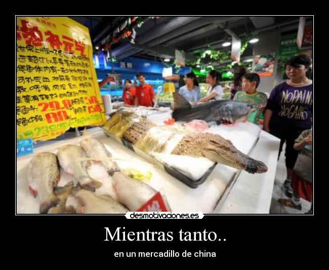 Mientras tanto.. - en un mercadillo de china