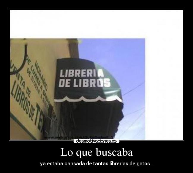 Lo que buscaba -