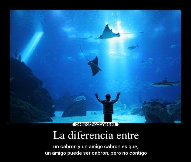 La diferencia entre - un cabron y un amigo cabron es que,
un amigo puede ser cabron, pero no contigo