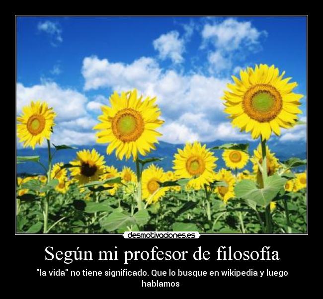 Según mi profesor de filosofía -