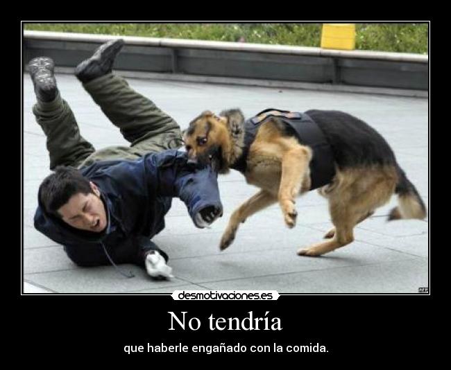 No tendría - que haberle engañado con la comida.