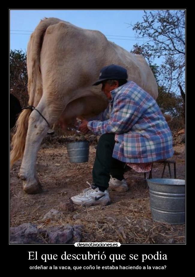 carteles vaca orddenar descubrir desmotivaciones