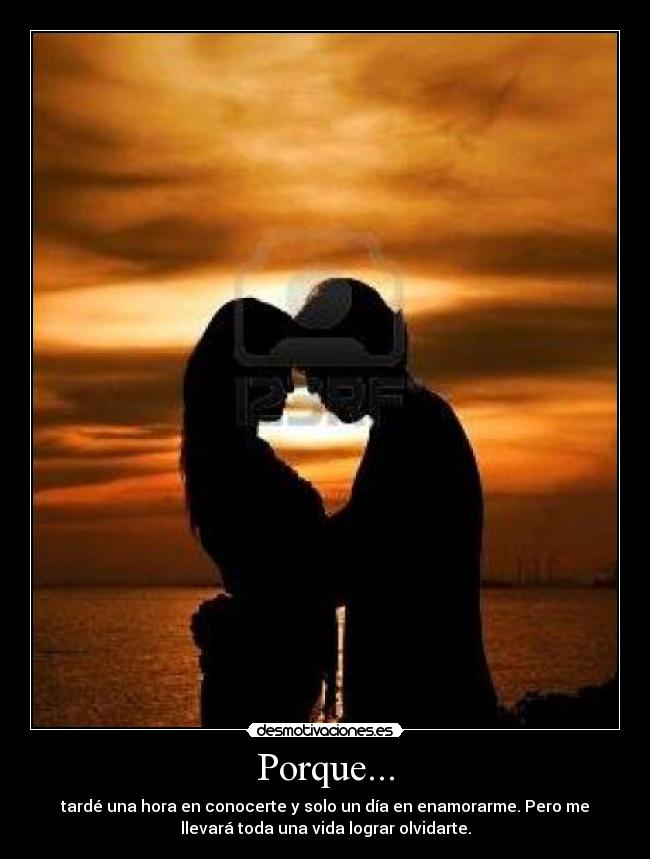Porque... - tardé una hora en conocerte y solo un día en enamorarme. Pero me
llevará toda una vida lograr olvidarte.
