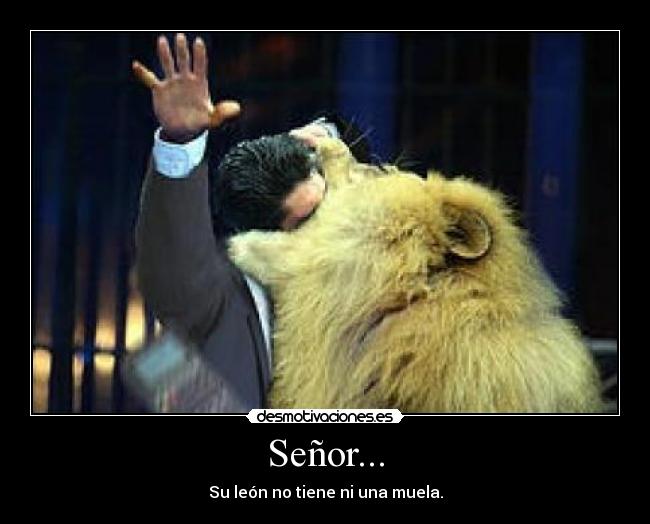Señor... - 