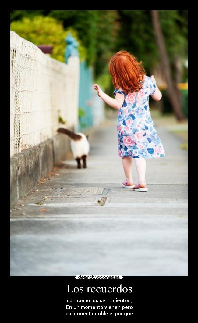 carteles recuerdos recuerdos sentimientos desmotivaciones