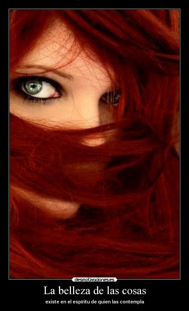 La belleza de las cosas -