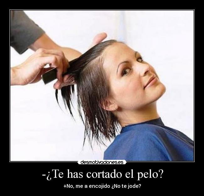 -¿Te has cortado el pelo? -