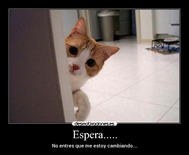 Espera..... -