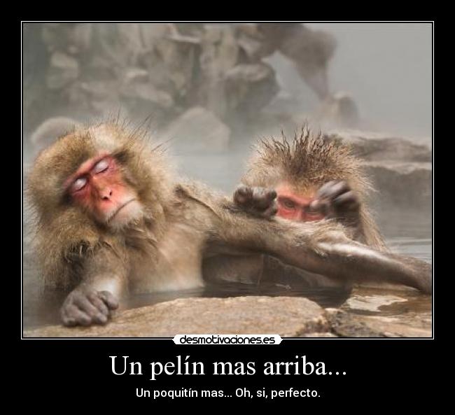 Un pelín mas arriba... - Un poquitín mas... Oh, si, perfecto.