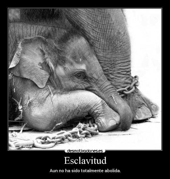 Esclavitud - Aun no ha sido totalmente abolida.