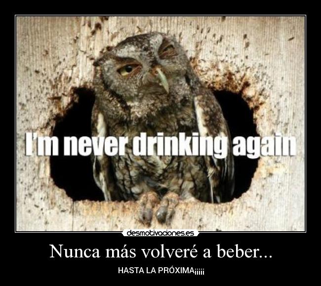 Nunca más volveré a beber... - 