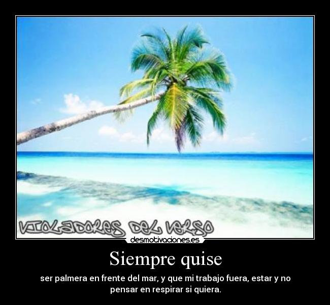 Siempre quise - 