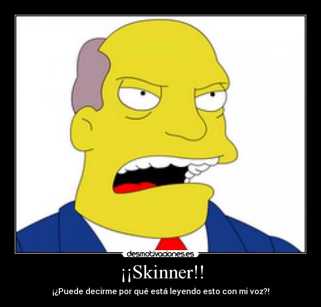 ¡¡Skinner!! - 