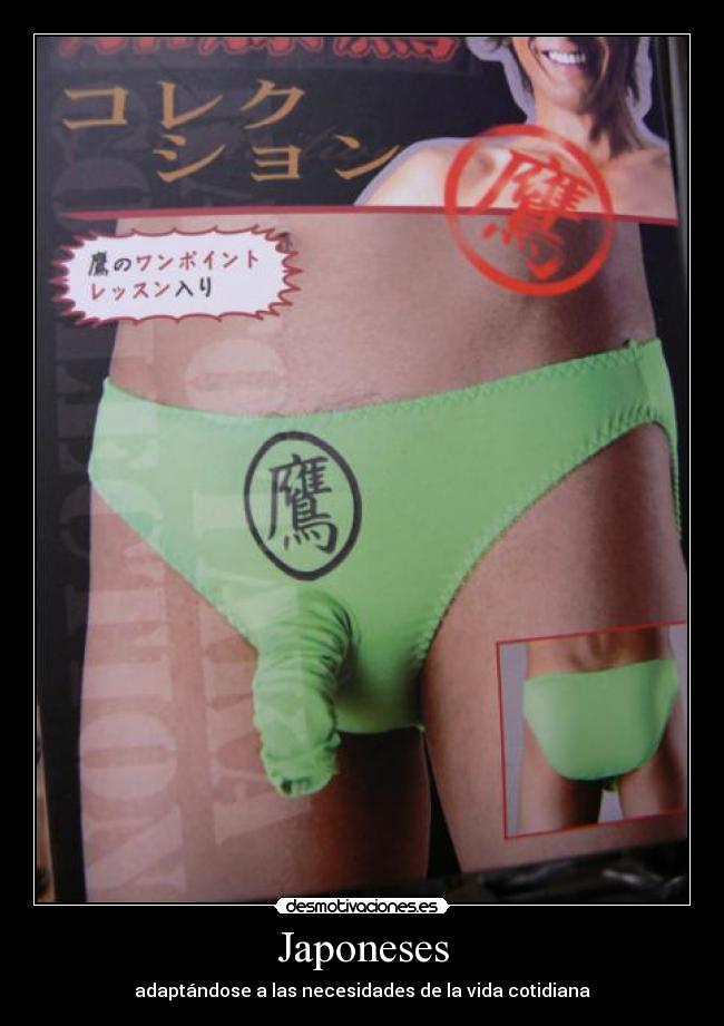 Japoneses - adaptándose a las necesidades de la vida cotidiana