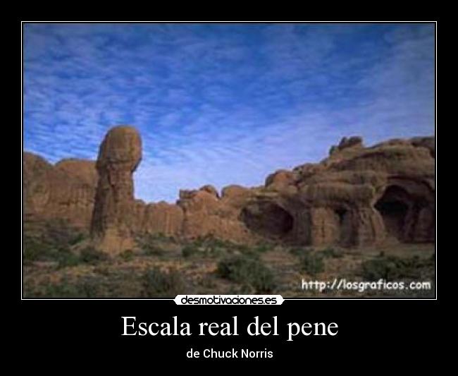 Escala real del pene - de Chuck Norris