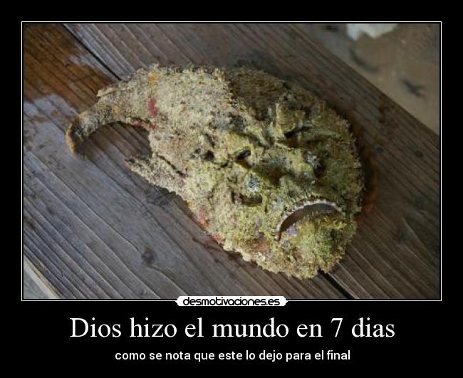 Dios hizo el mundo en 7 dias -