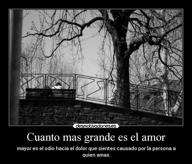 Cuanto mas grande es el amor - mayor es el odio hacia el dolor que sientes causado por la persona a quien amas.