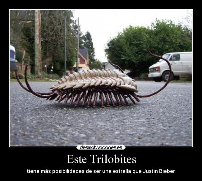 carteles bieber trilobites desmotivaciones