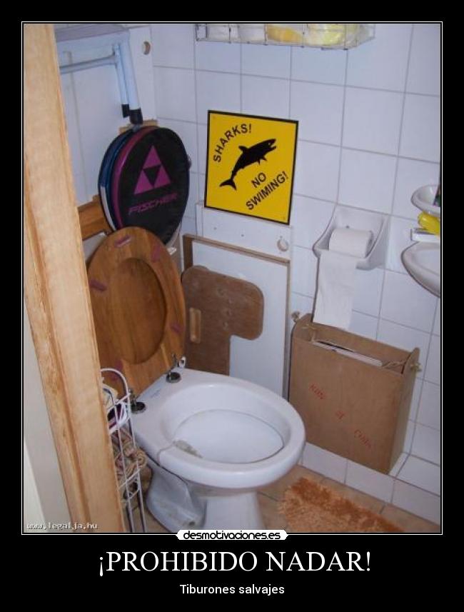 ¡PROHIBIDO NADAR! - Tiburones salvajes