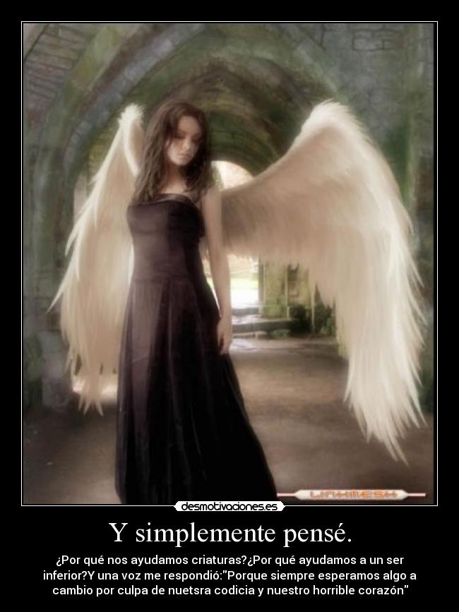 carteles pensar seres inferiores horrible corazon criaturas desmotivaciones