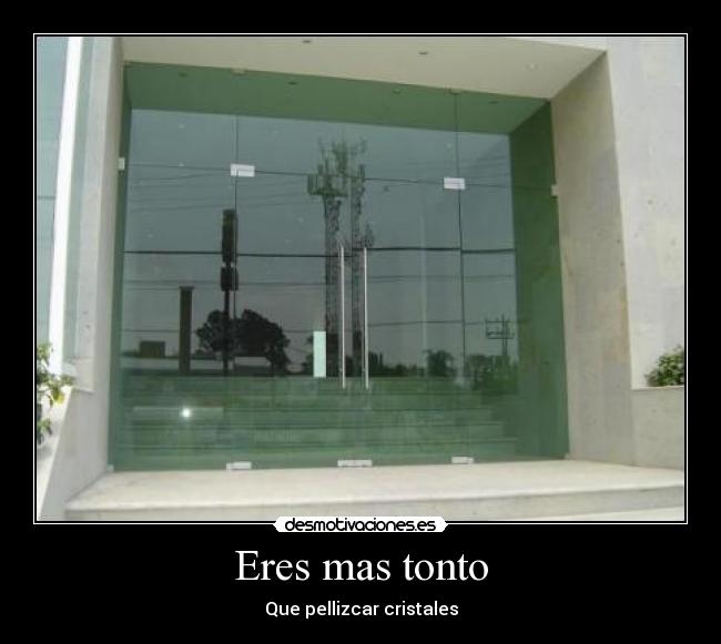 Eres mas tonto - Que pellizcar cristales