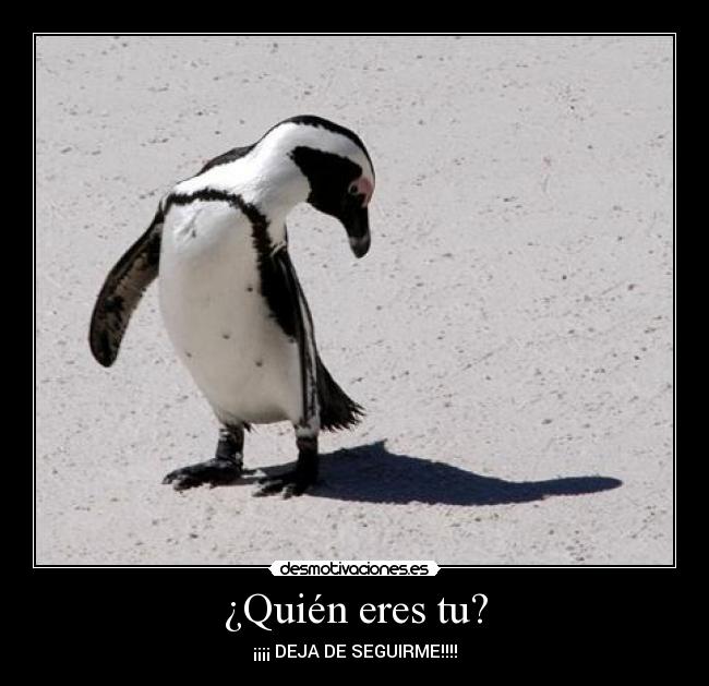 ¿Quién eres tu? -
