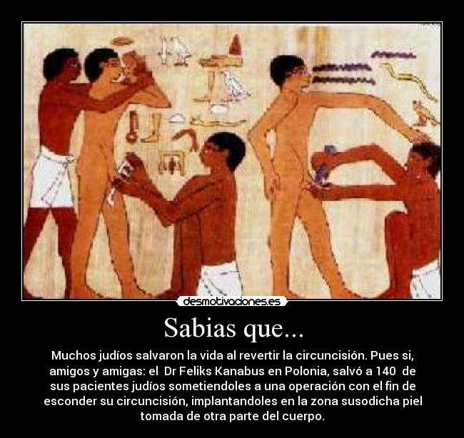 Sabias que... - 