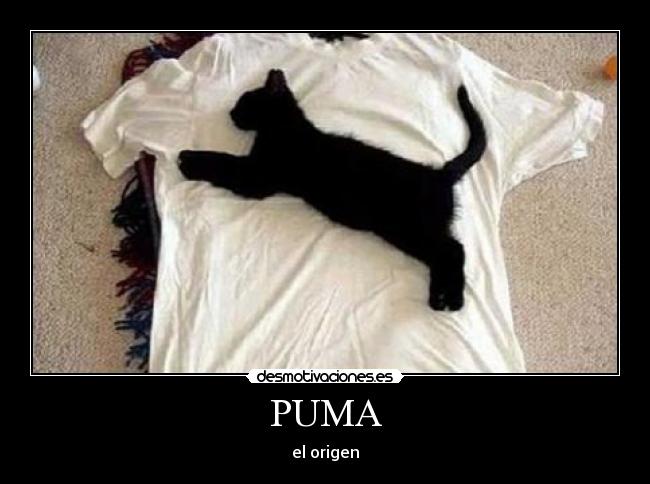 PUMA -