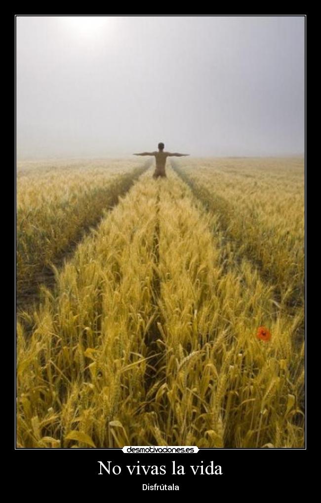 No vivas la vida - Disfrútala
