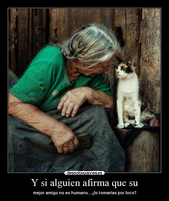 Y si alguien afirma que su - mejor amigo no es humano... ¿lo tomarías por loco?