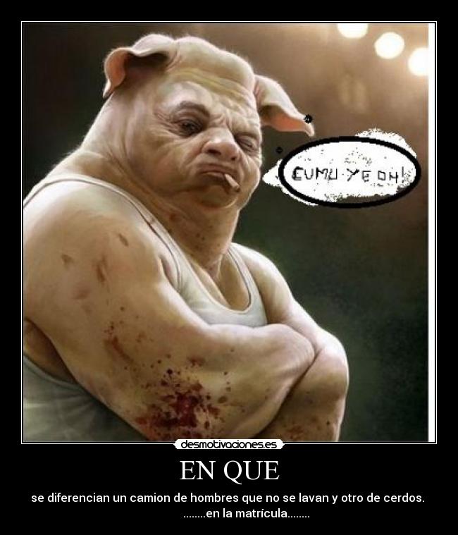 EN QUE - se diferencian un camion de hombres que no se lavan y otro de cerdos. 
            ........en la matrícula........