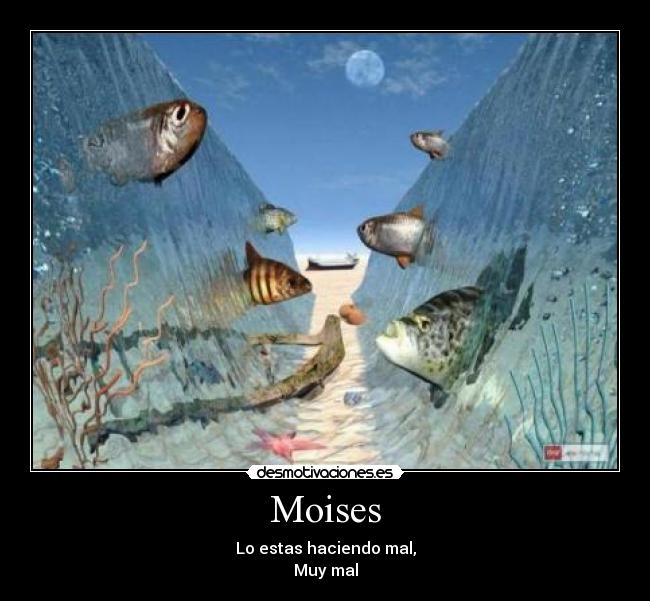 carteles moises desmotivaciones