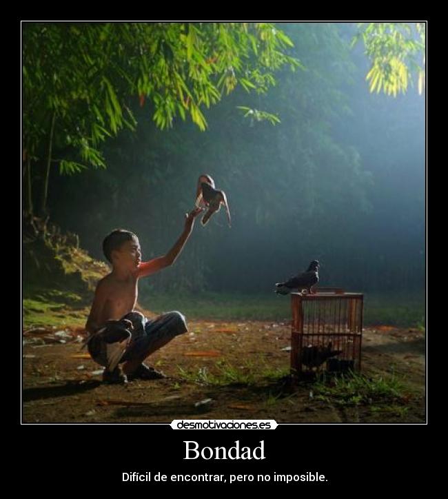 Bondad - 