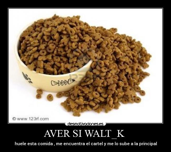 AVER SI WALT_K - huele esta comida , me encuentra el cartel y me lo sube a la principal