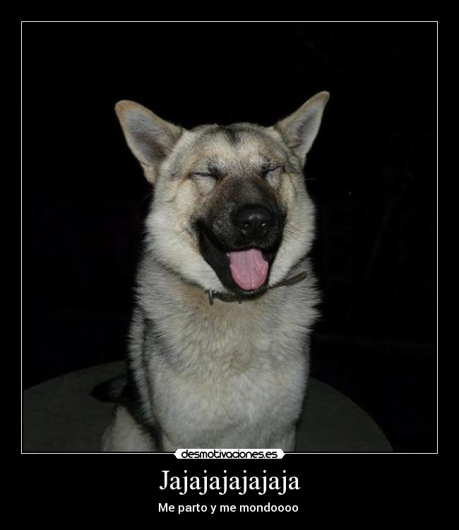 Jajajajajajaja - Me parto y me mondoooo