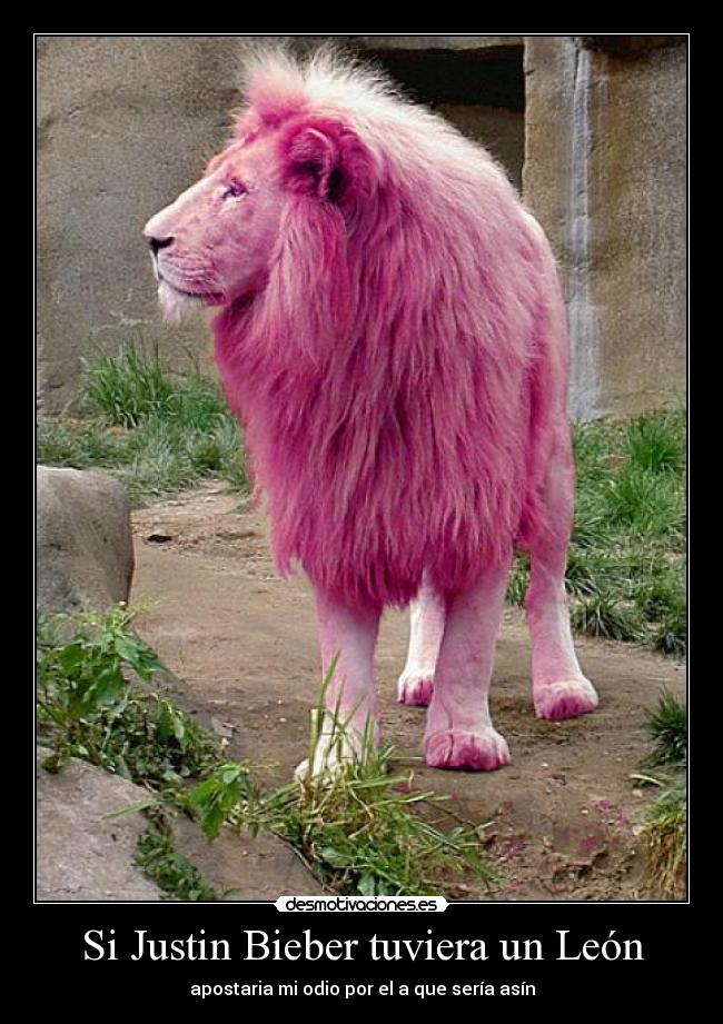 Si Justin Bieber tuviera un León - 