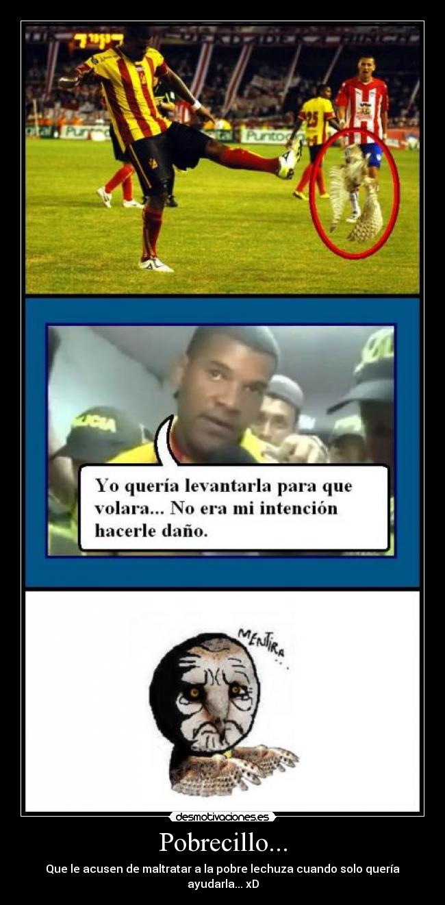 Pobrecillo... - Que le acusen de maltratar a la pobre lechuza cuando solo quería ayudarla... xD