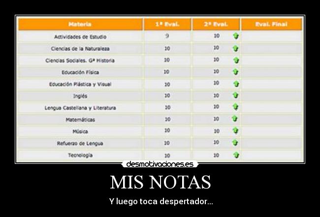 MIS NOTAS -  Y luego toca despertador...