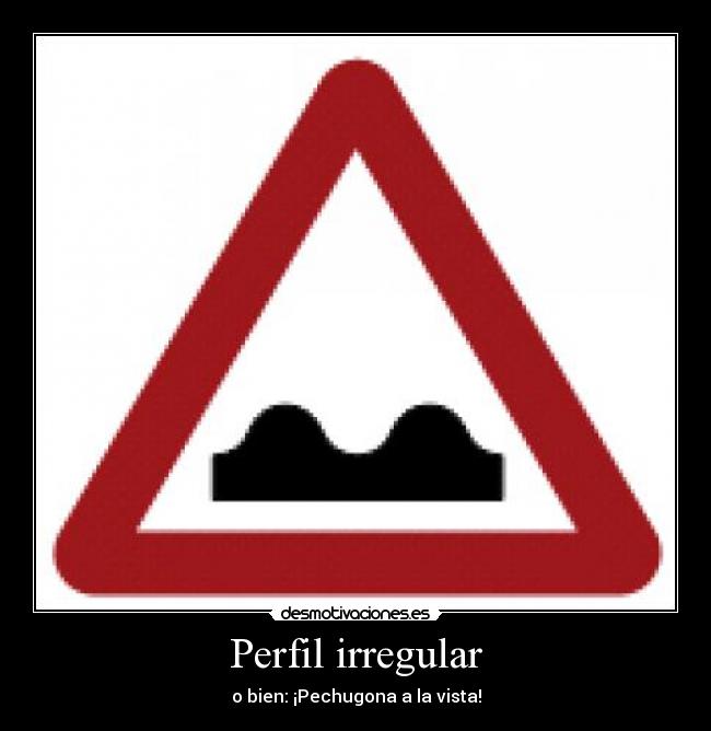 carteles perfil irregular desmotivaciones