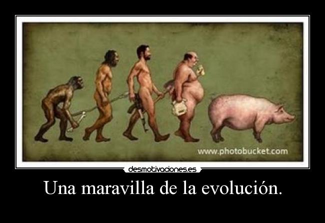 Una maravilla de la evolución. -