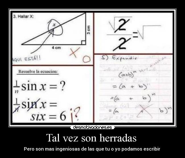 Tal vez son herradas  - 