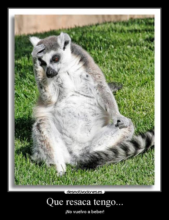 Que resaca tengo... -